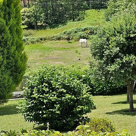 Appartamento Casa A Gandara O Grove Esterno foto